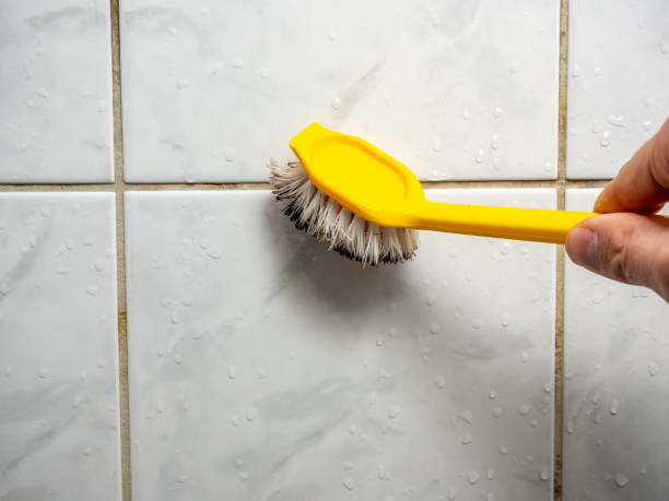 Best Residential Mold Remediation in Pender, NE