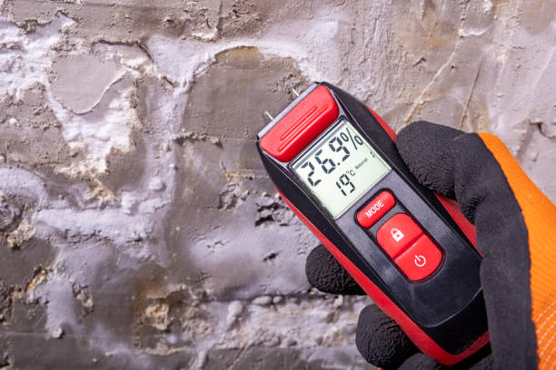 Best Mold Testing and Inspection Services in Pender, NE