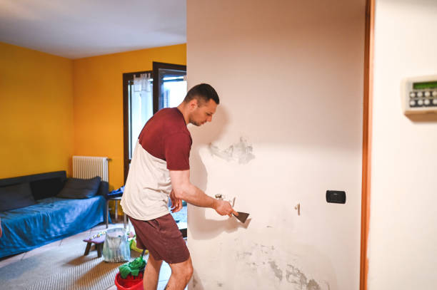 Best Mold Remediation for Schools in Pender, NE